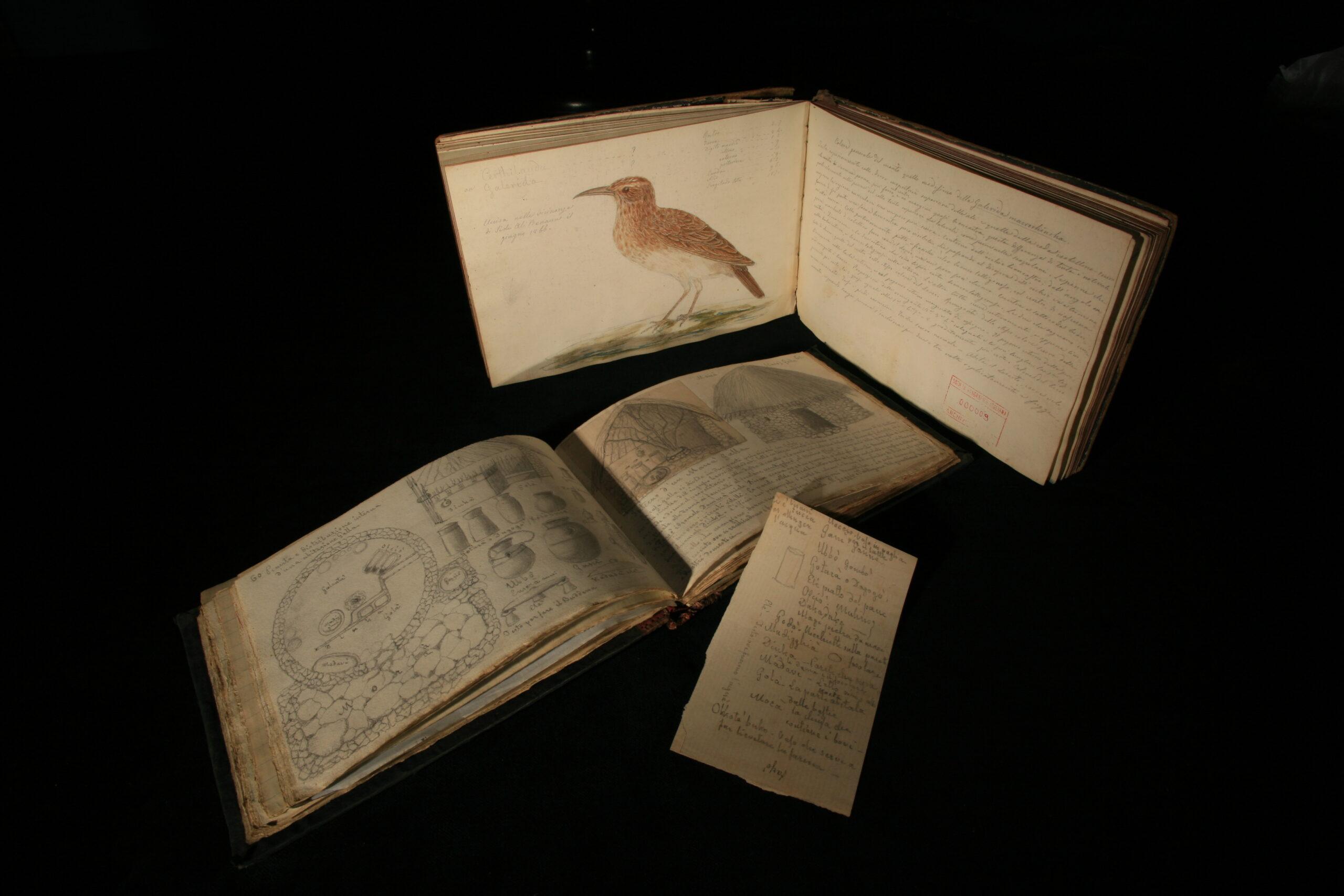 frlazio900.tocc.promemoriagroup.com