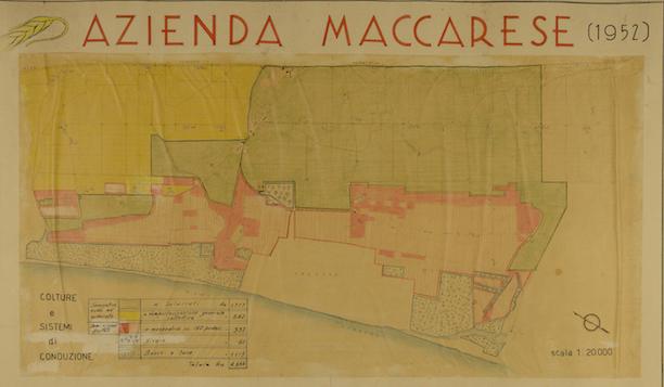 frlazio900.tocc.promemoriagroup.com