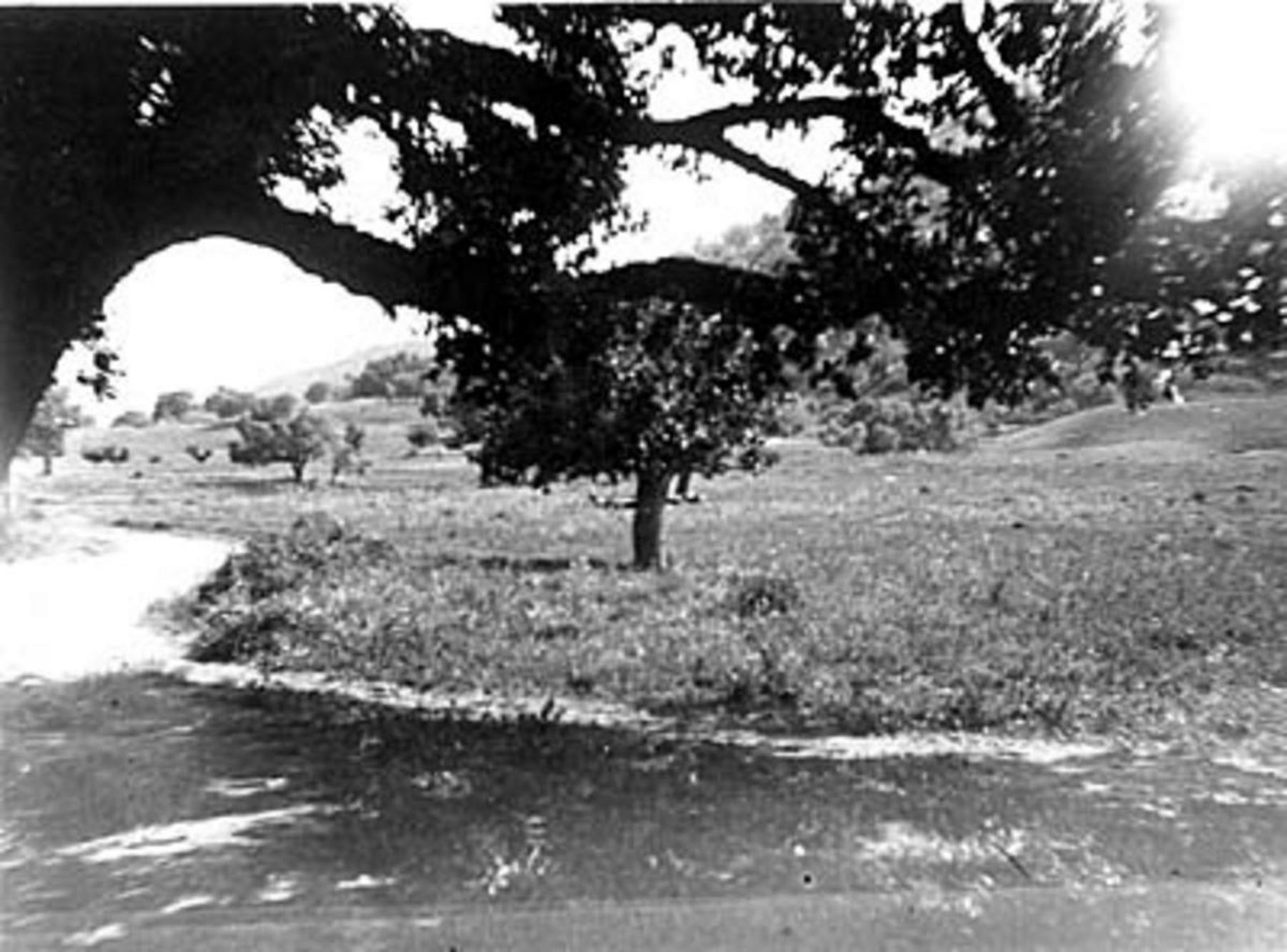 Brancaleone, strada per Bruzzano